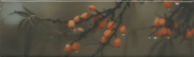 Декор Тракай 6 глянцевый 8,5x28,5x0,85