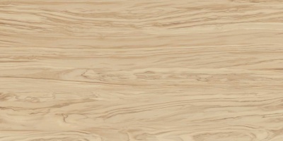 Олива бежевый обрезной 60x119,5x1,1