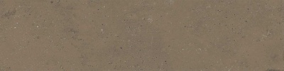 Довиль коричневый светлый матовый 9,9x40,2x0,8