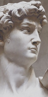 Ковер Давид 2 матовый обрезной 119,5x238,5x1,1