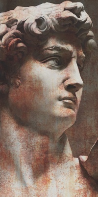 Ковер Давид 1 матовый обрезной 119,5x238,5x1,1 Ковер Давид 1 матовый обрезной 119,5x238,5x1,1