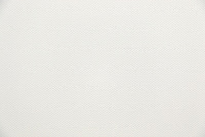 Обои виниловые на флизелиновой основе Примавера база, белый